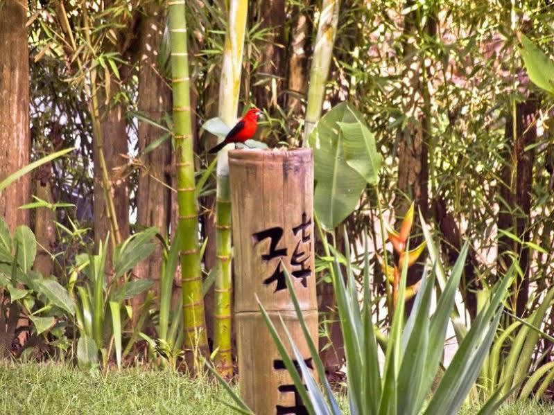 Pousada Bambu 이타카레 외부 사진