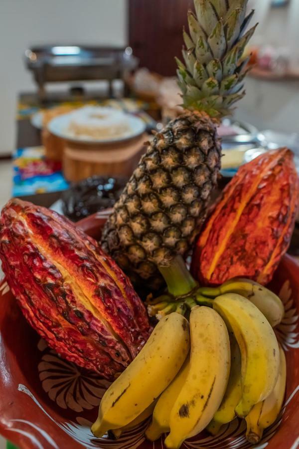 Pousada Bambu 이타카레 외부 사진